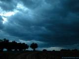 foto de paisaje de anochecer con tormenta en el olivar de Ajalvir con tama�o de 160X120; ver distintas medidas disponibles a la derecha